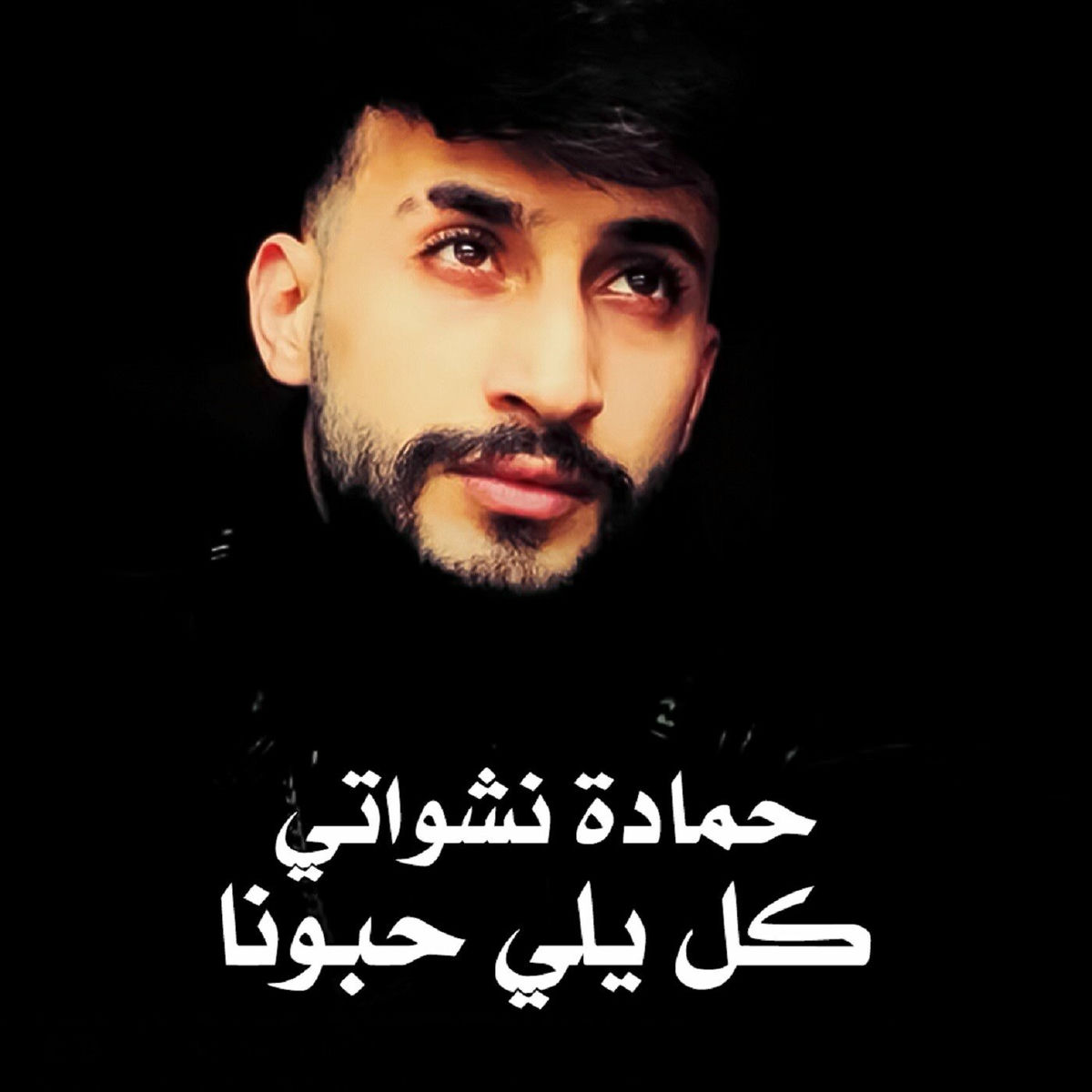 Album cover of كل يلي حبونا