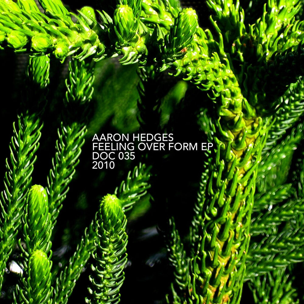 Picture of Feeling over Form EP