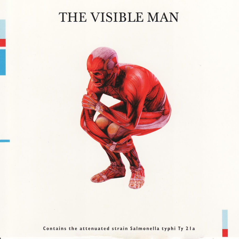 Picture of The Visible Man