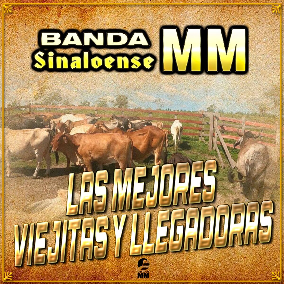Album cover of Las Mejores Viejitas Y Llegadoras