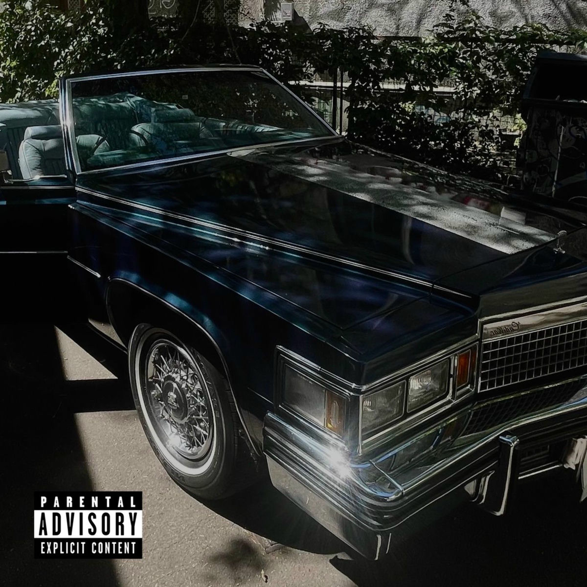 Album cover of Idgaf