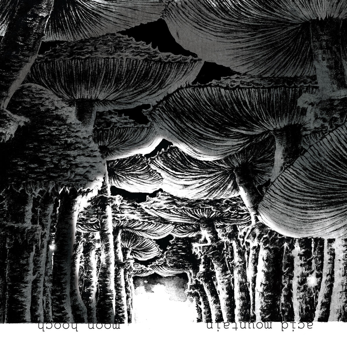 Album cover of Acid Mountain