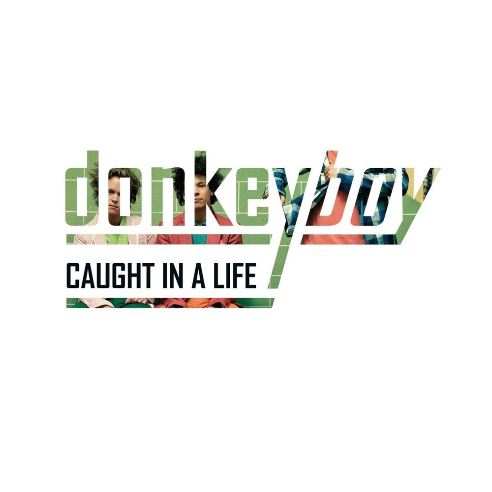 Picture of Caught in a Life
