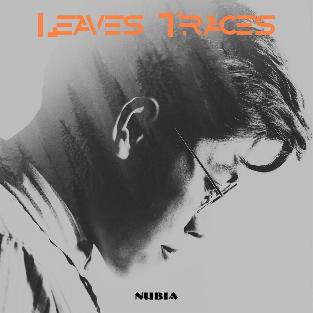 Picture of Leaves Traces