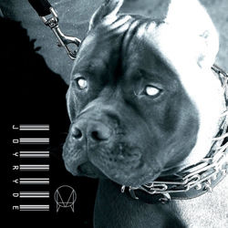 Pochette album