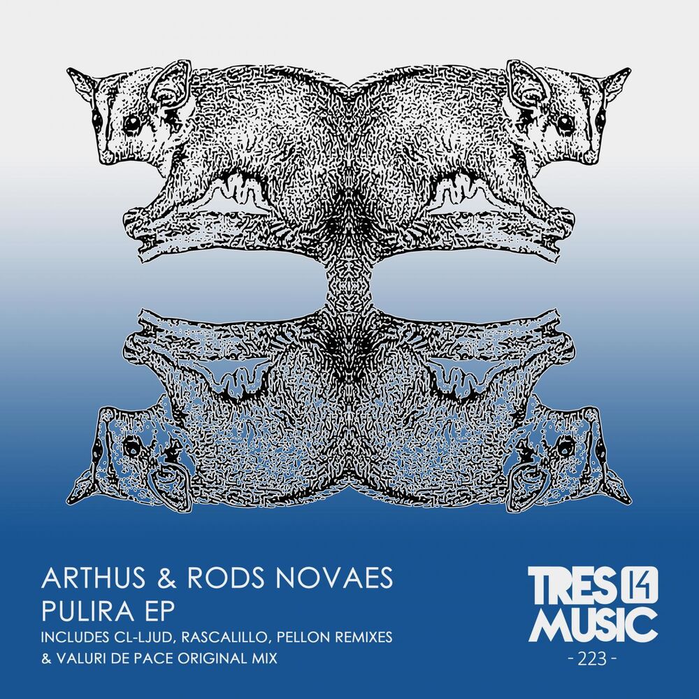 Picture of PULIRA EP