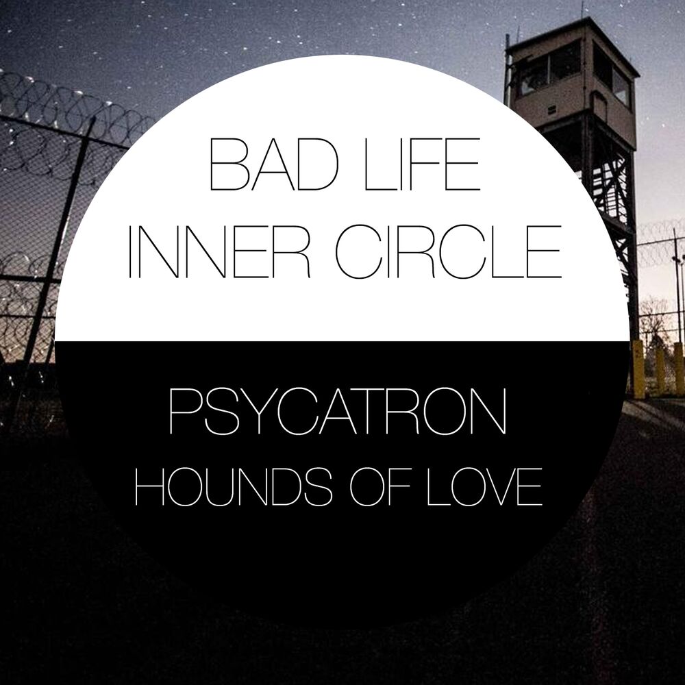 Picture of Psycatron Presents Hounds of Love