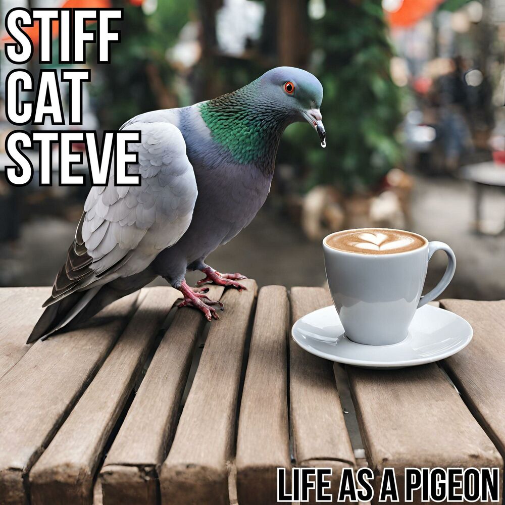 Picture of Life As A Pigeon