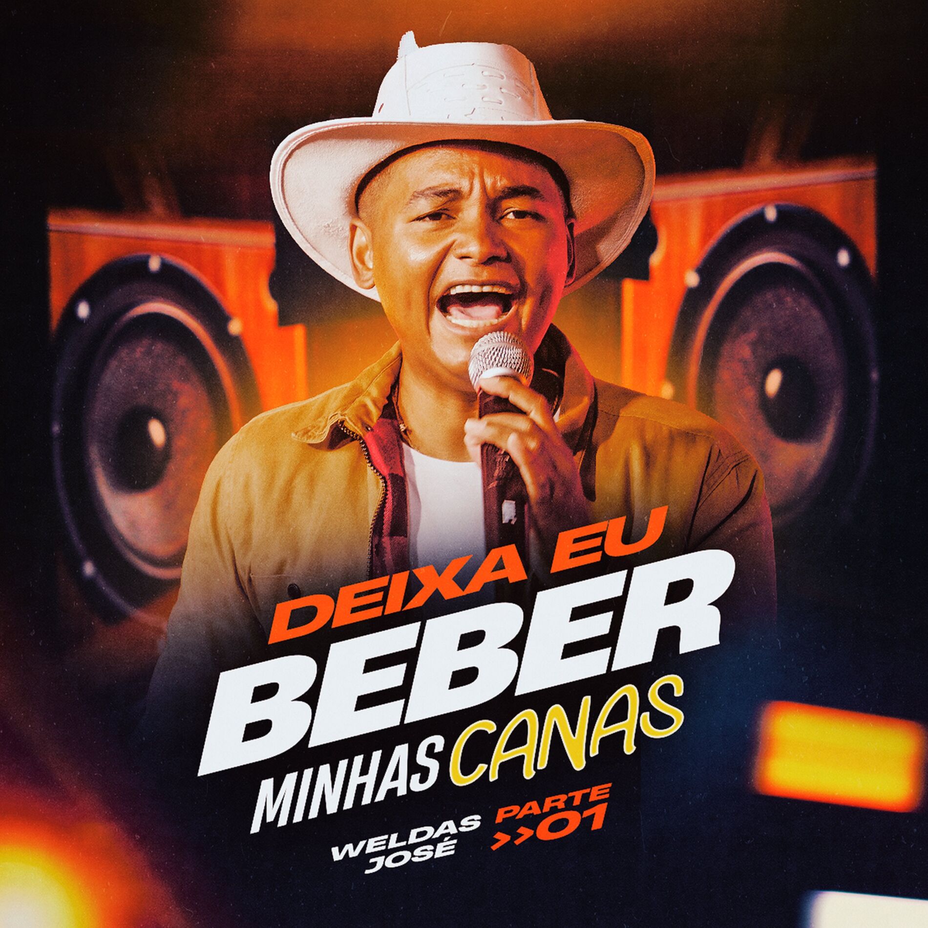 Album cover of Deixa Eu Beber Minhas Canas - Pt.1