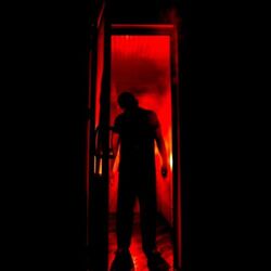 Cover of SWITCHBLADES