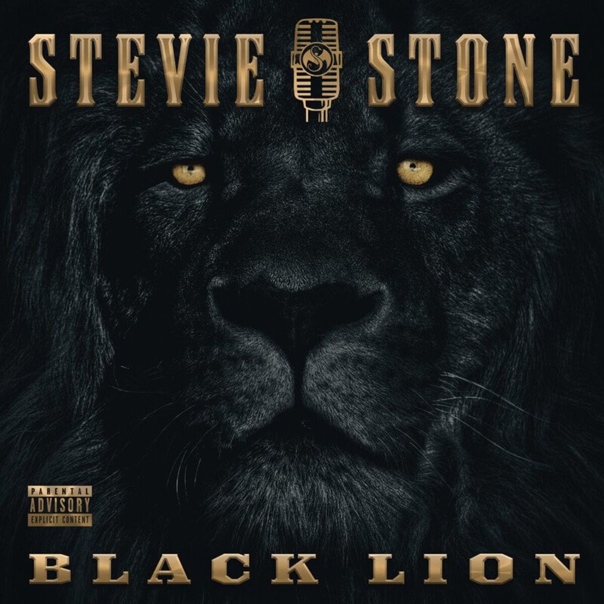 Album cover of Set In Stone (Intro)