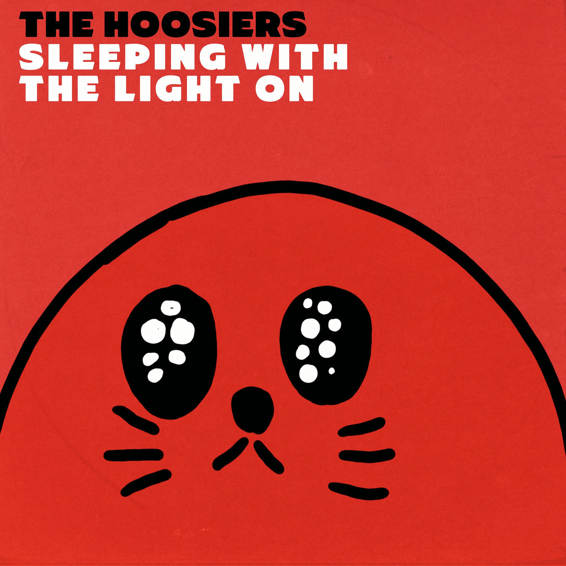 Album cover of Sleeping With The Light On