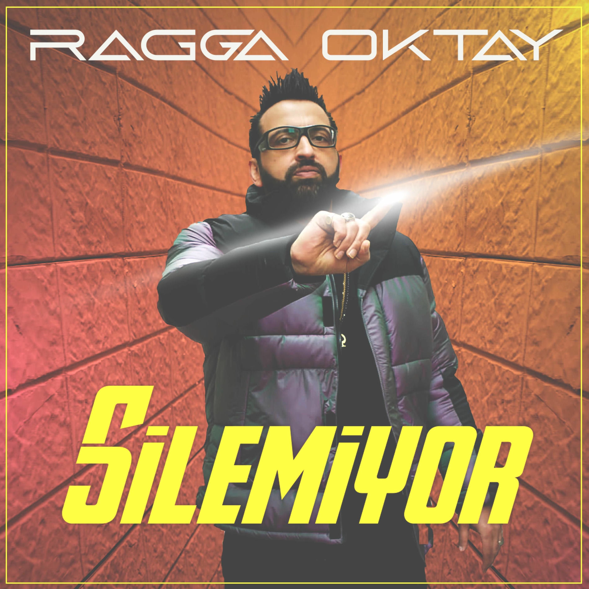 Album cover of Silemiyor