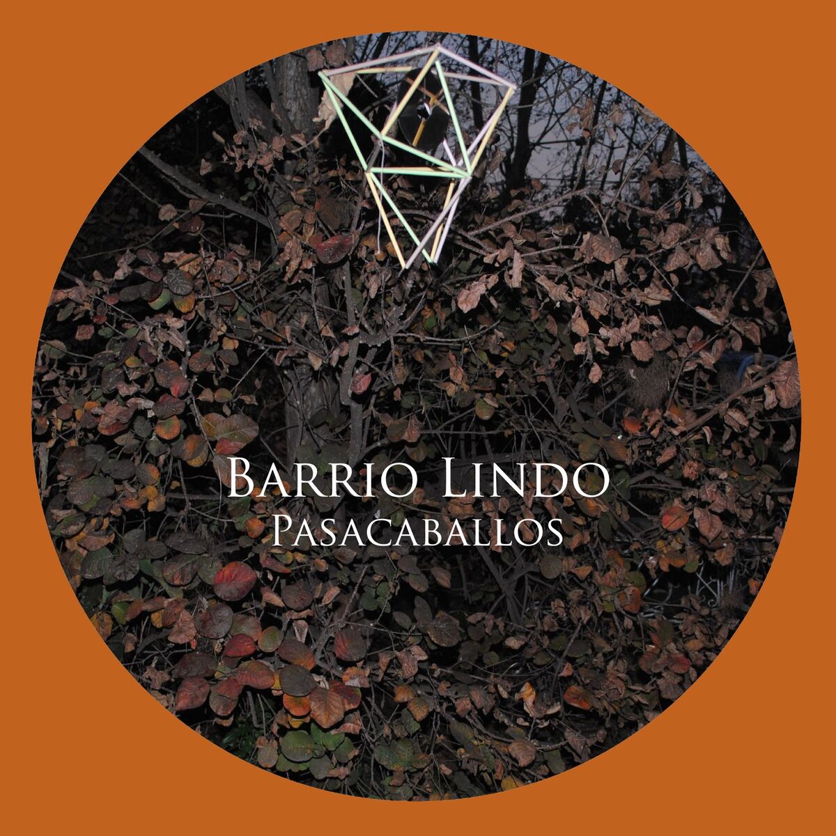 Album cover of Pasacaballos