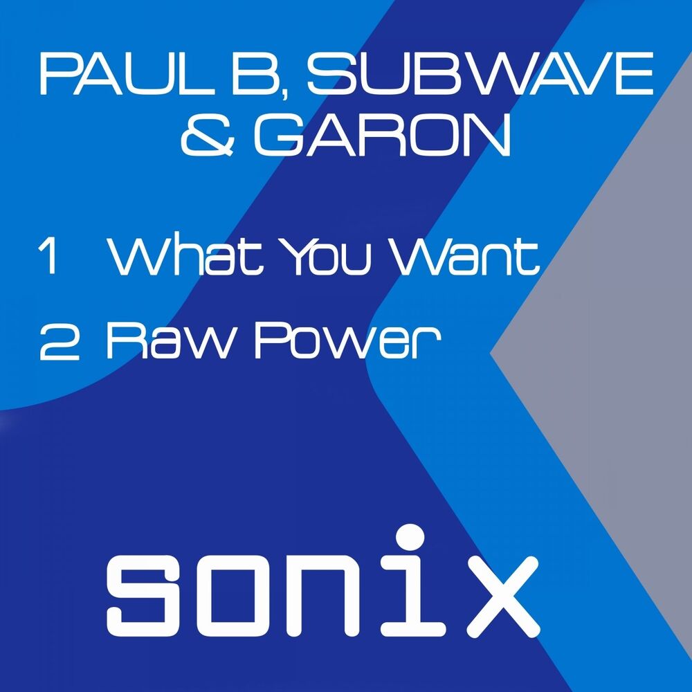 Picture of What You Want / Raw Power