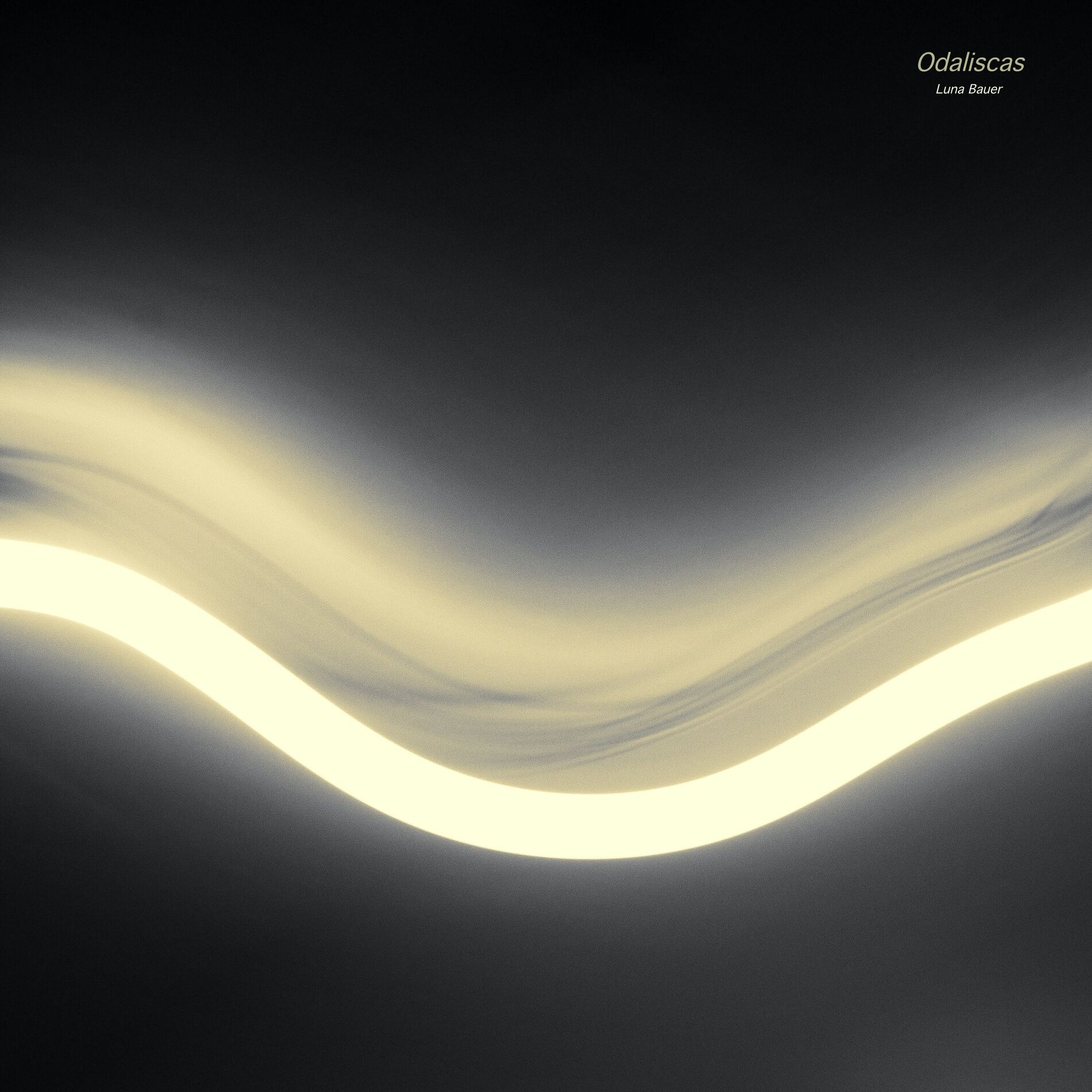 Album cover of Odaliscas