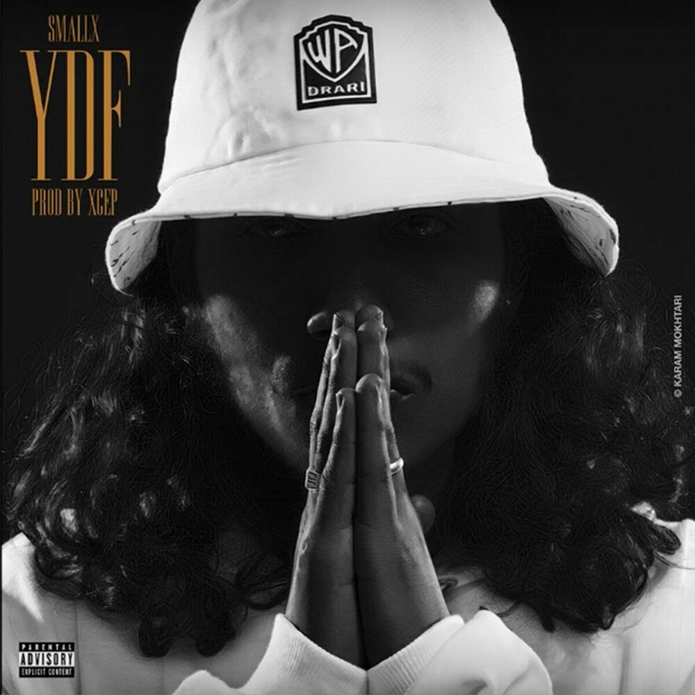 Picture of YDF