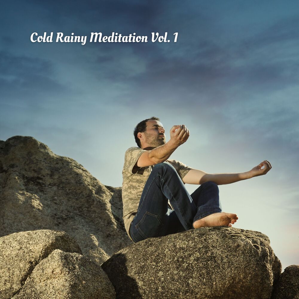 Picture of Cold Rainy Meditation Vol. 1