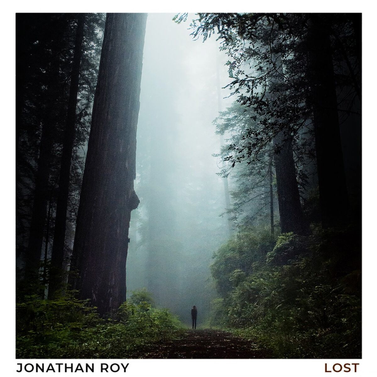 Album cover of Lost