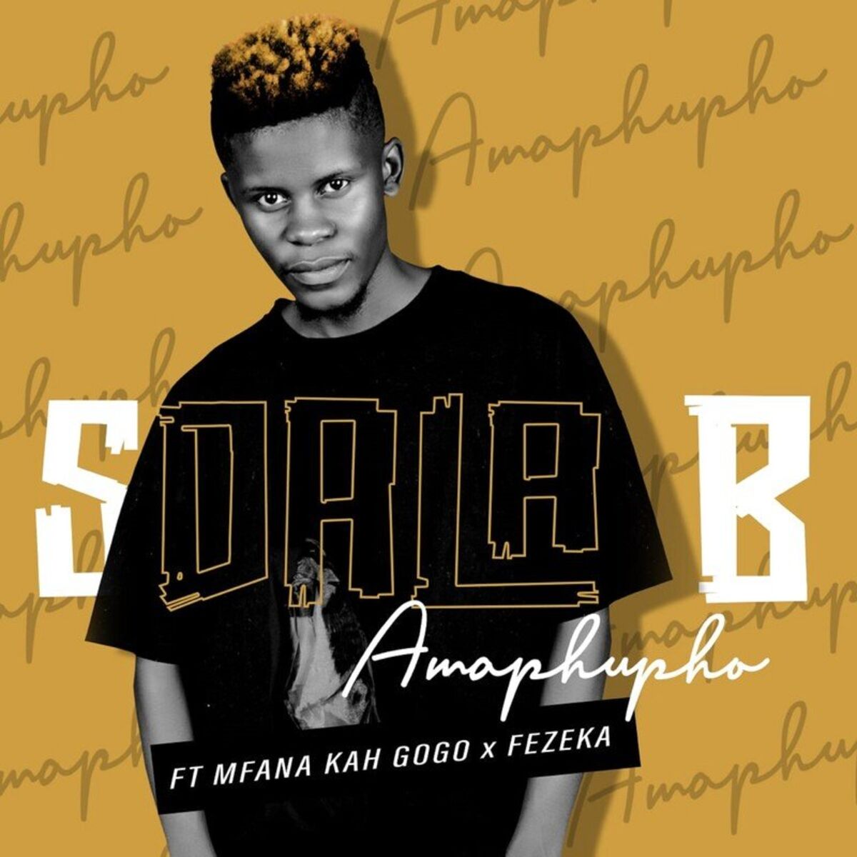 Album cover of Amaphupho