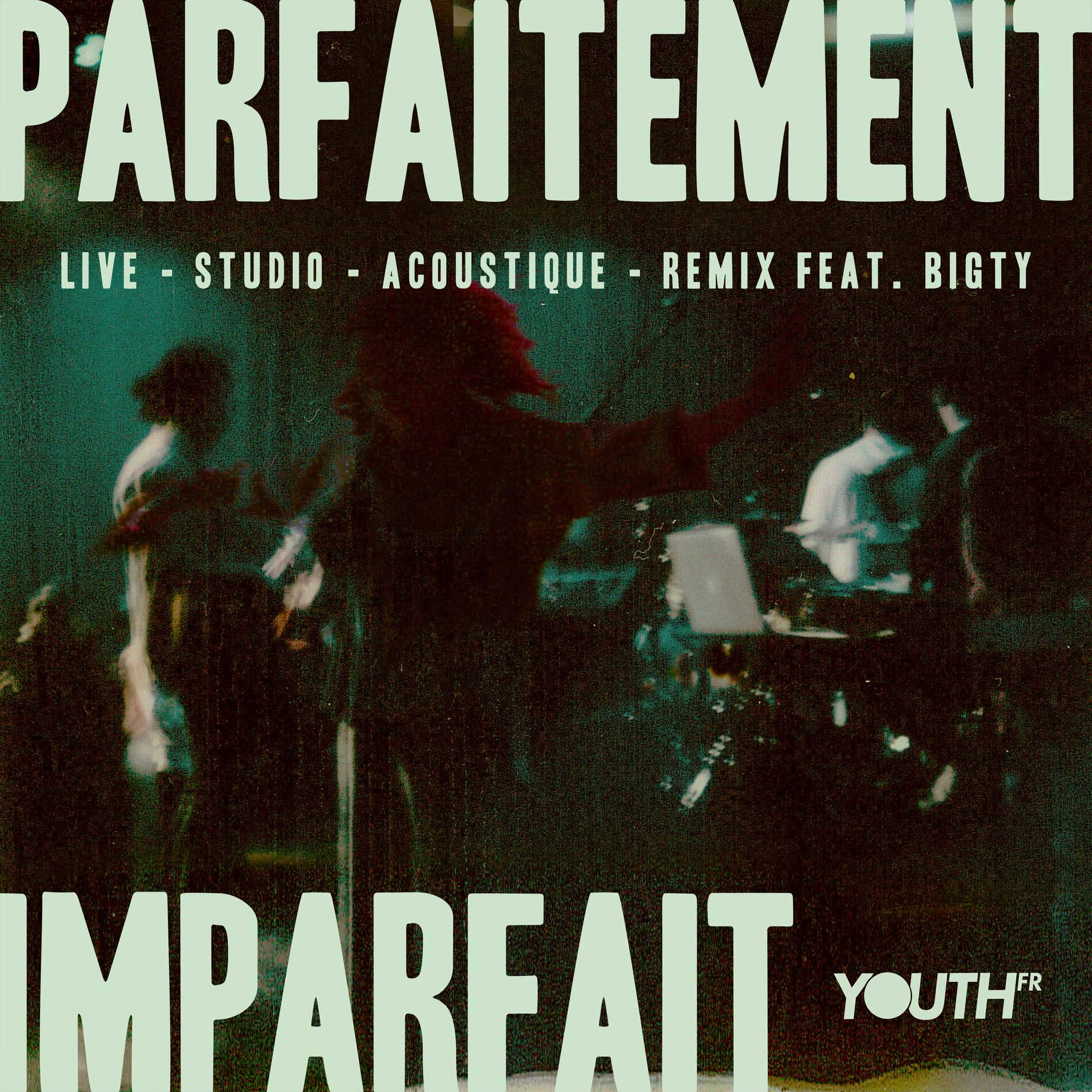 Album cover of Parfaitement imparfait