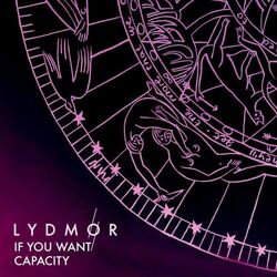 Cover of If You Want Capacity