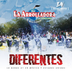 Cover of Diferentes