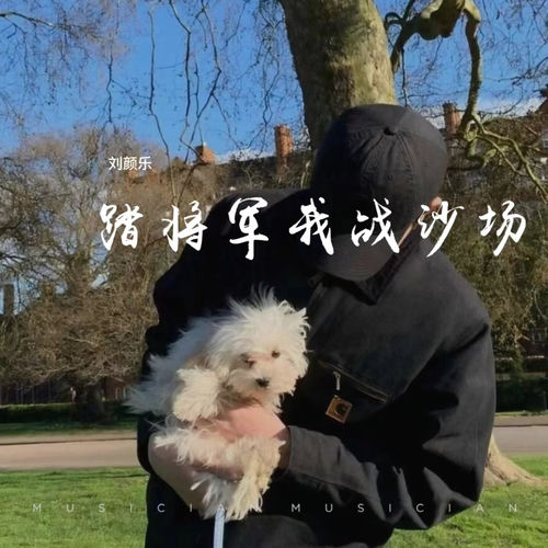 踏将军我战沙场