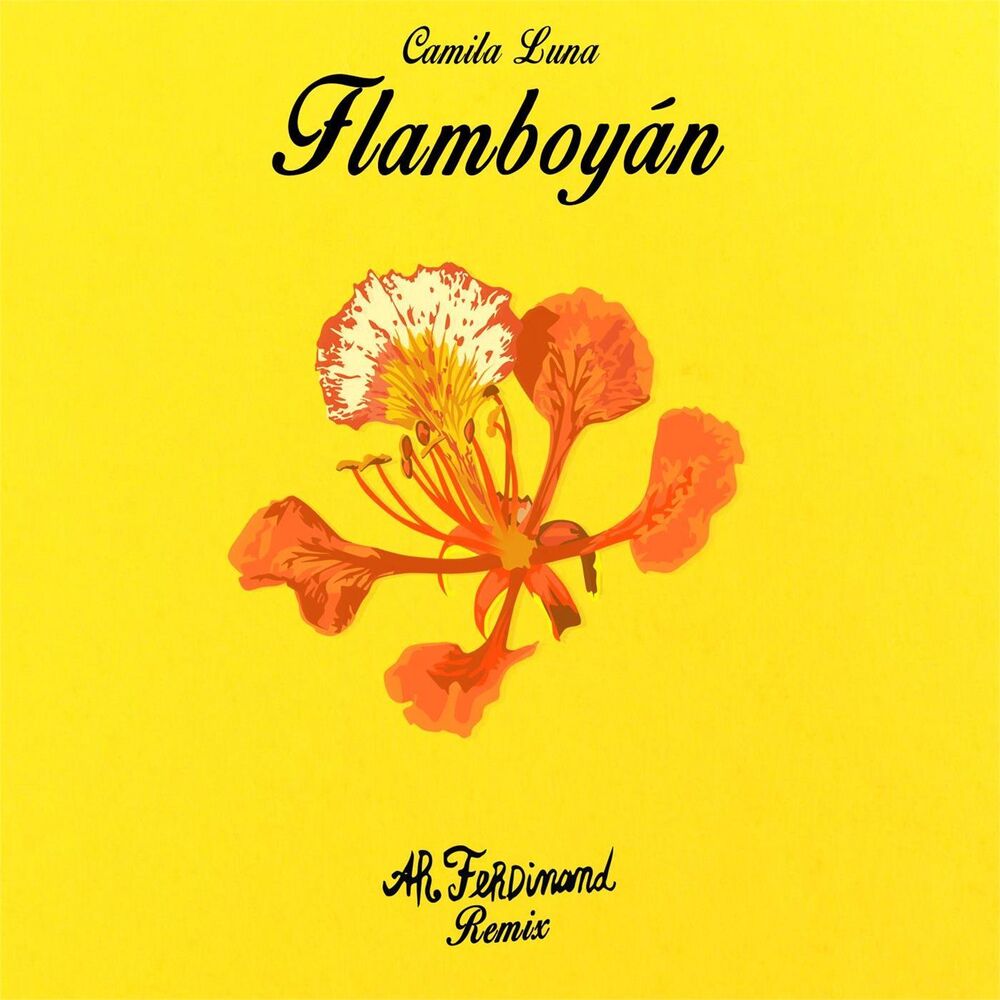 Picture of Flamboyan (AR Ferdinand Remix)
