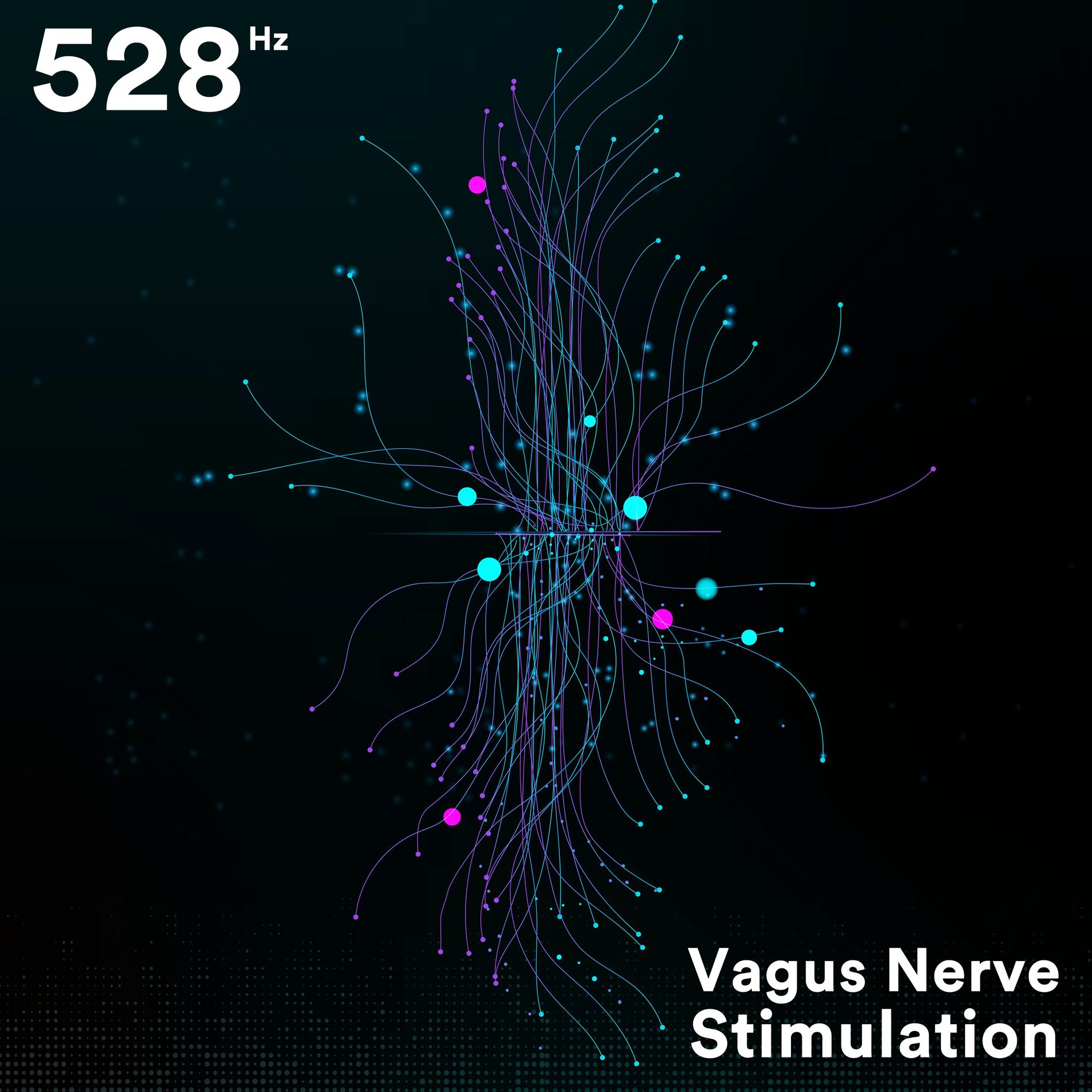 Album cover of 528 Hz: Vagus Nerve Stimulation