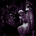 Devotion
