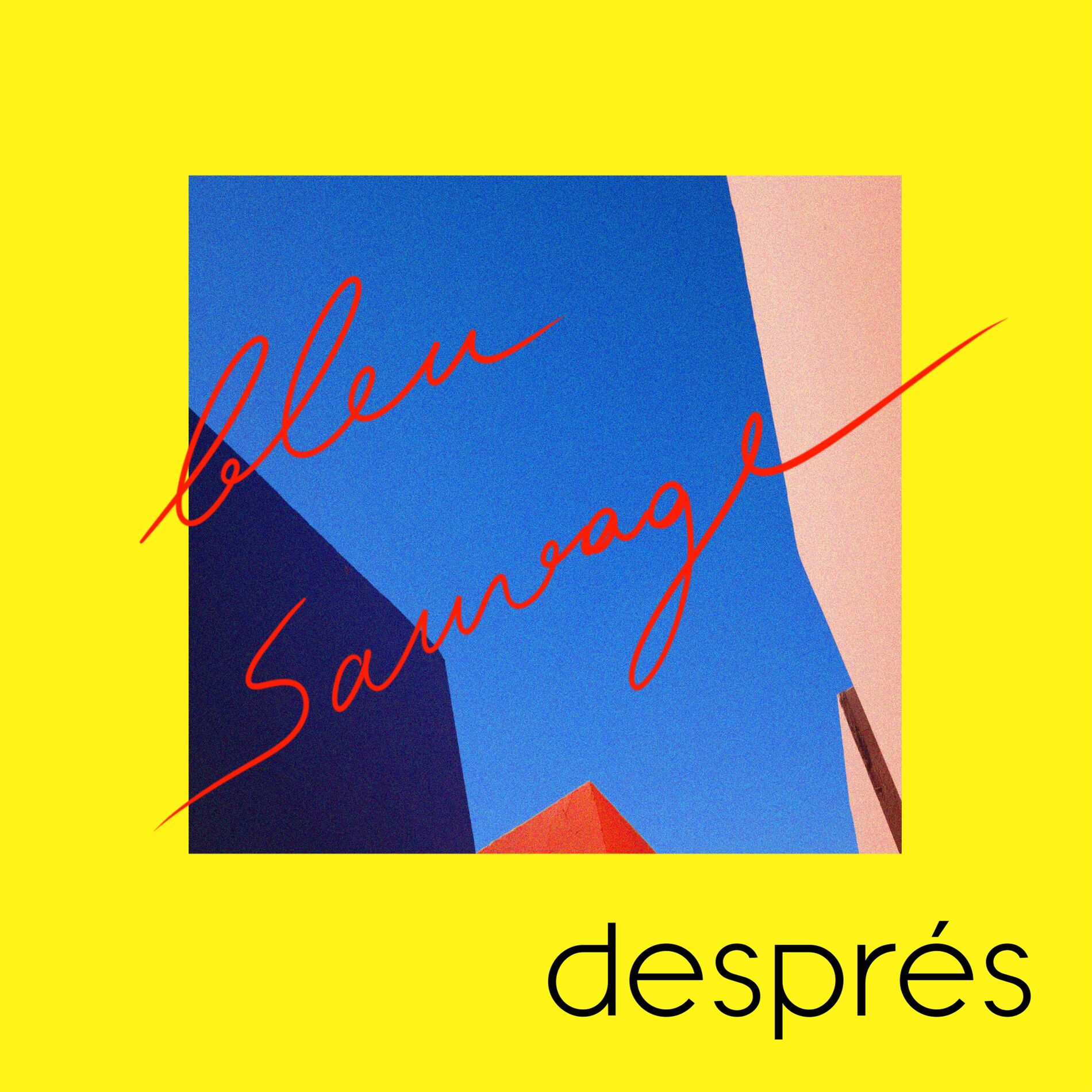 Album cover of Bleu sauvage