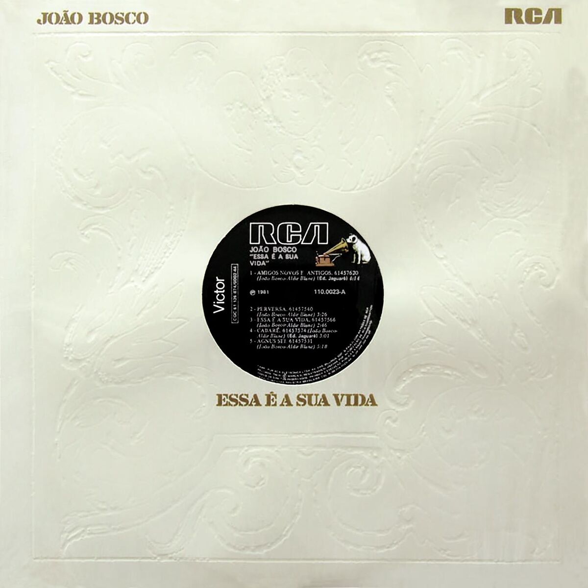 Album cover of Perversa
