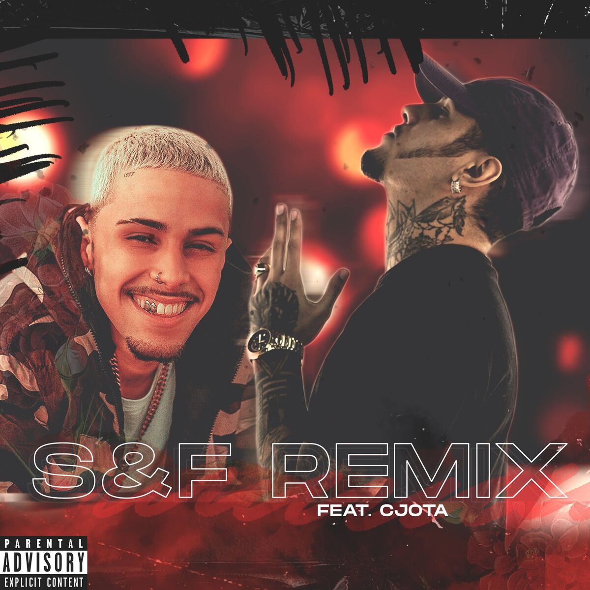 Album cover of S&F Remix