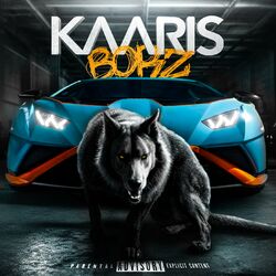 Cover of BORZ