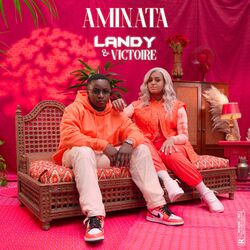 Cover of Aminata