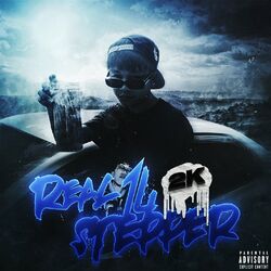 Cover of REAL 14 STEPPER