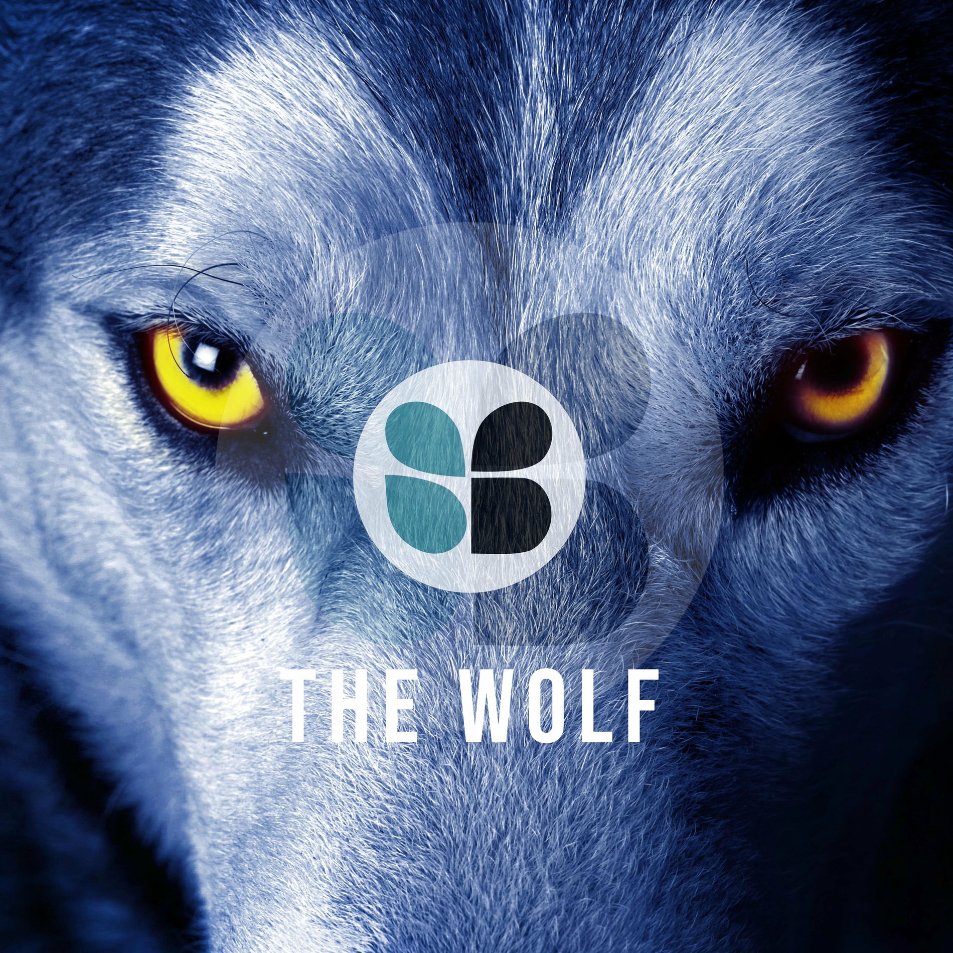 Album cover of The Wolf