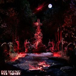 Cover of Die Young