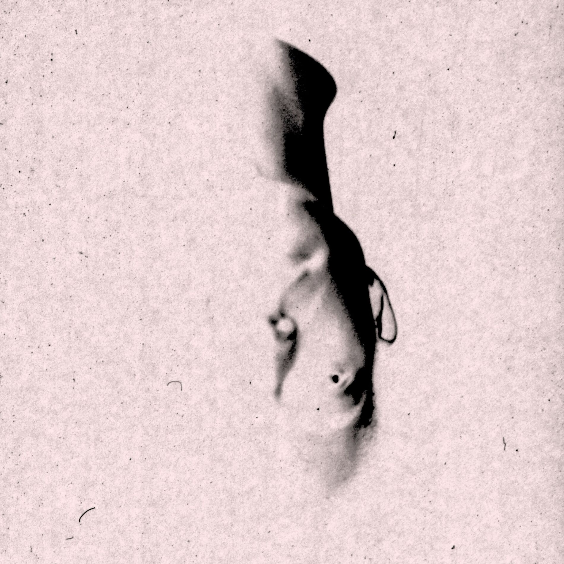 Album cover of Better (Acoustic)