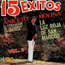 Cover of 15 Exitos