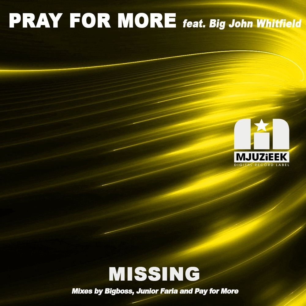 Picture of Missing