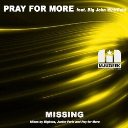 Cover of Missing