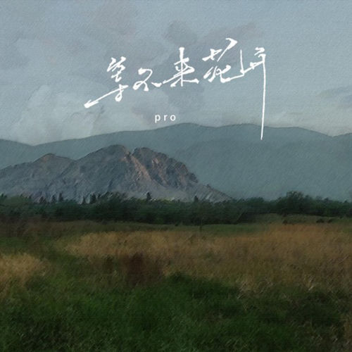等不来花开 (DJ小豪版)