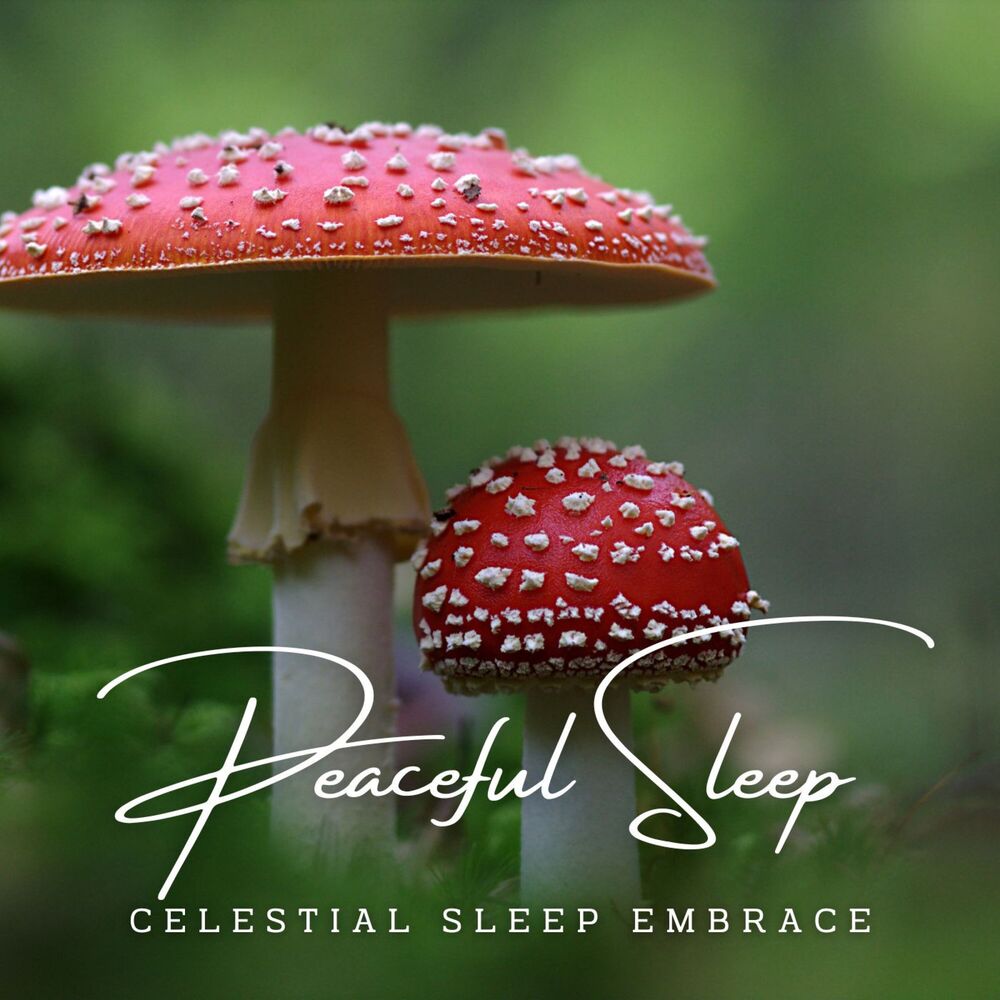 Picture of Serenity's Dreamscapes: Meditative Sounds for Peaceful Sleep