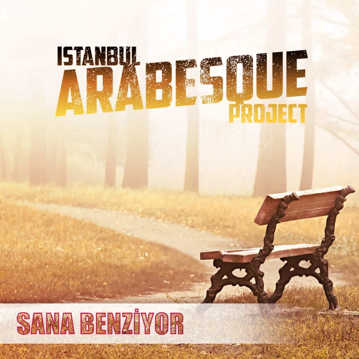 Album cover of Sana Benziyor