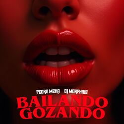 Cover of Bailando Gozando