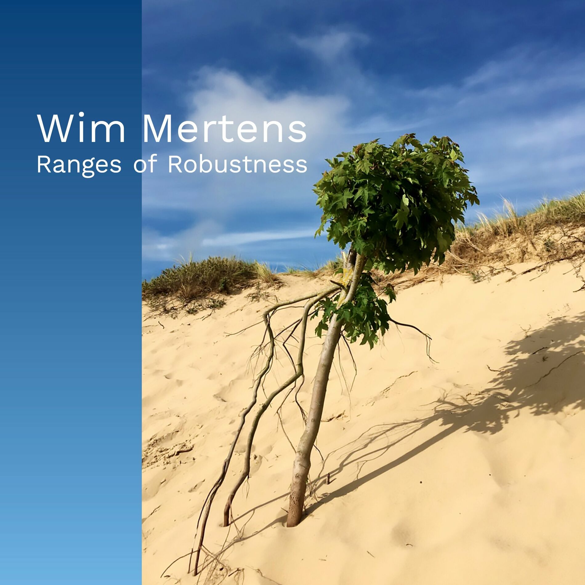 Album cover of Ranges of Robustness