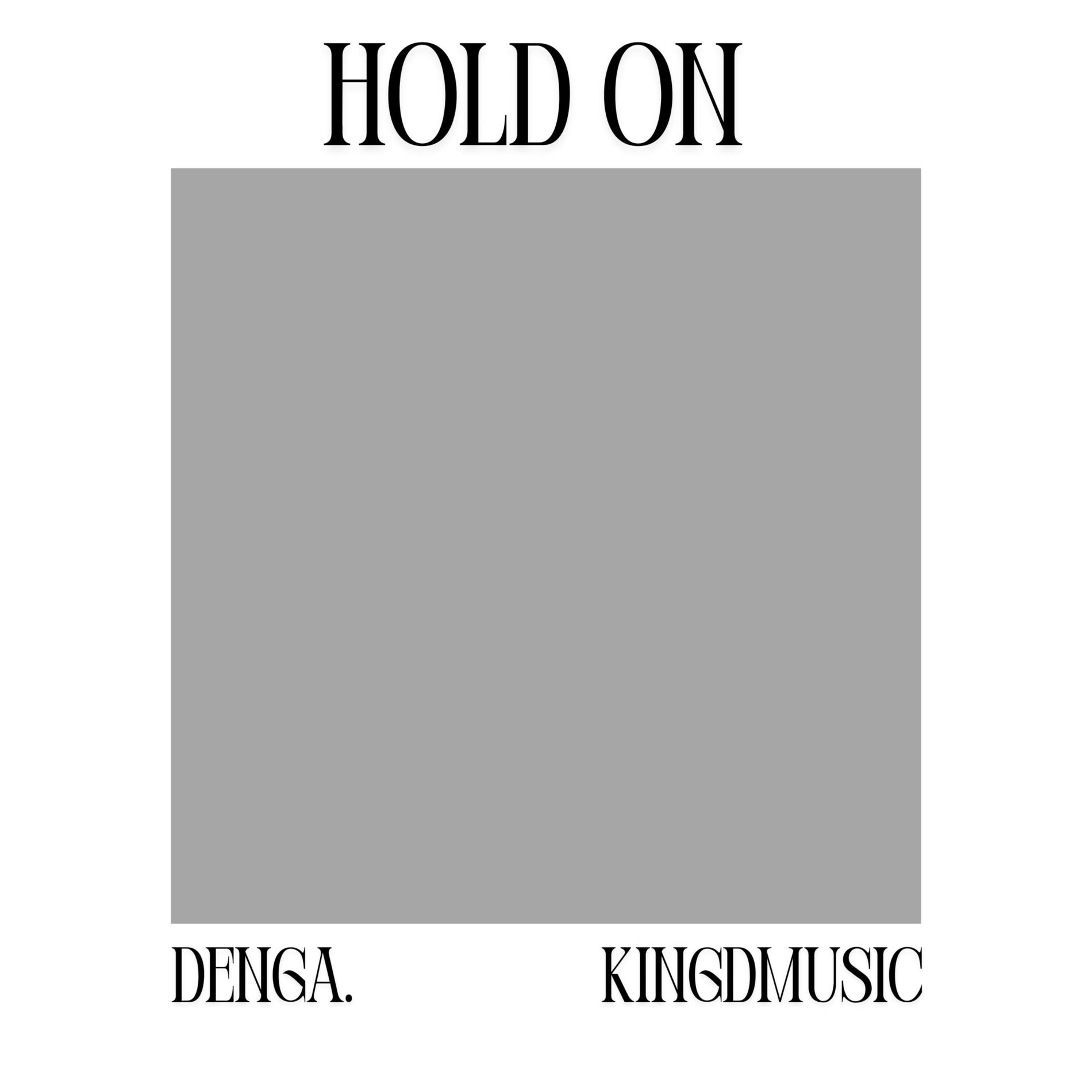 Album cover of HOLD ON
