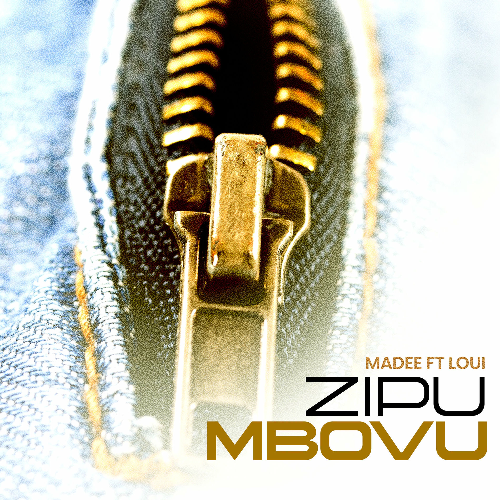 Album cover of Zipu Mbovu